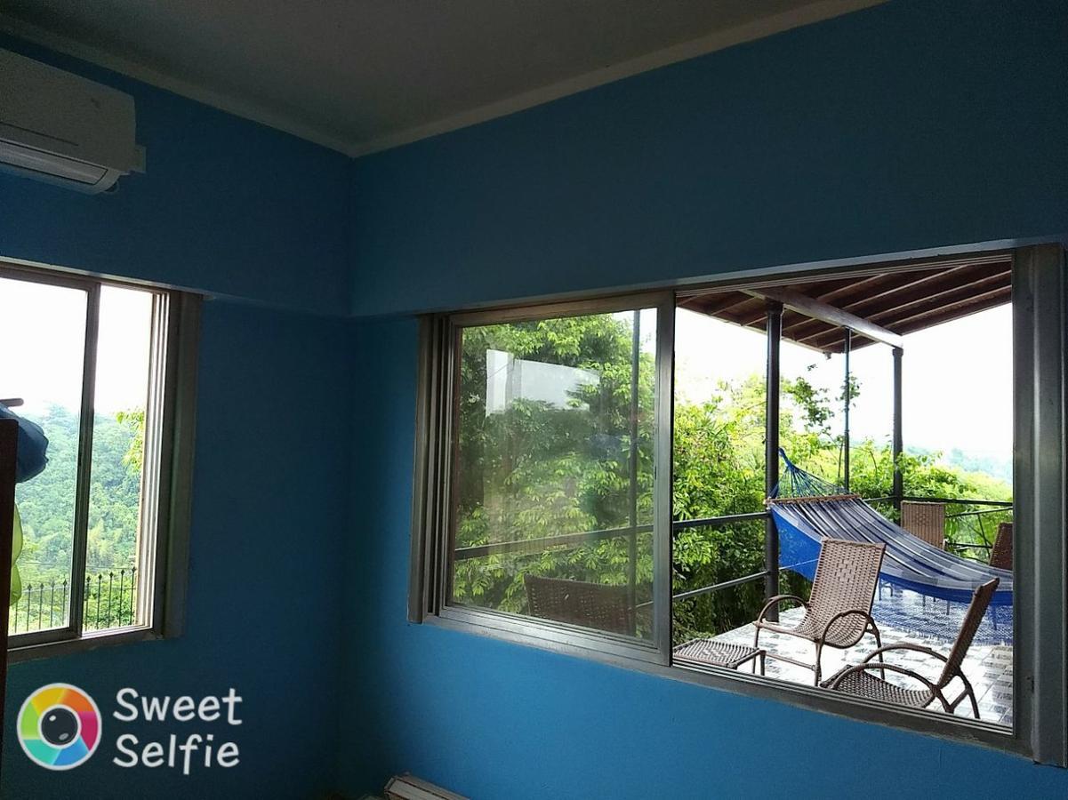 Butterfly Hostel Puerto Iguazú Esterno foto