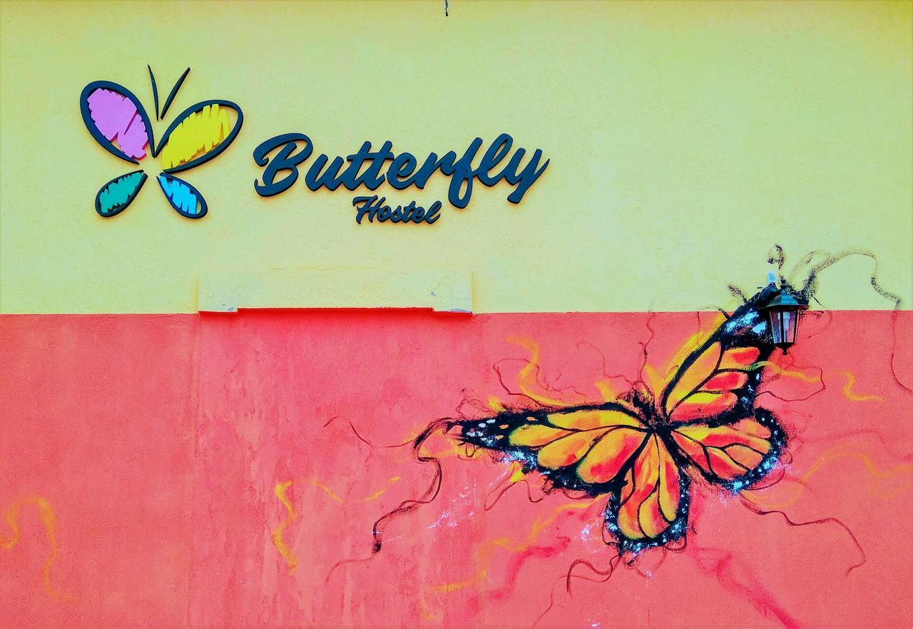Butterfly Hostel Puerto Iguazú Esterno foto