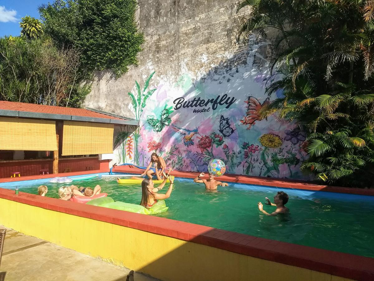 Butterfly Hostel Puerto Iguazú Esterno foto